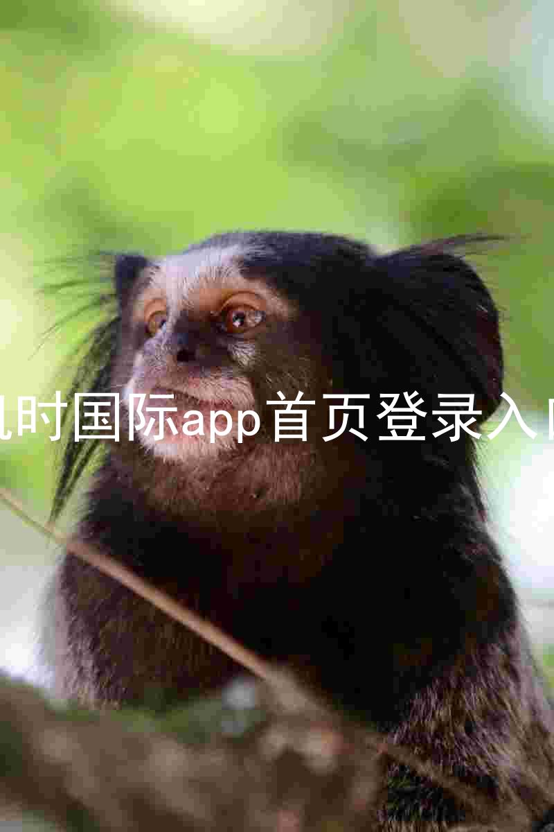 凯时国际app首页登录入口